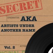 Secret AKA: Artists under Another Name, Vol. 2