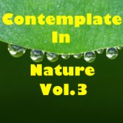 Contemplate In Nature, Vol.3