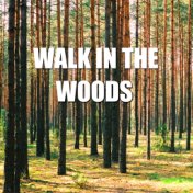 Walk In The Woods