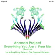 Everything You Are /  Free Me (Remixes)