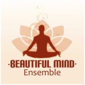 Beautiful Mind Ensemble - Natural Healing Music Therapy, Sound Therapy for Stress Relief, Healing Through Sound and Touch, Harmo...