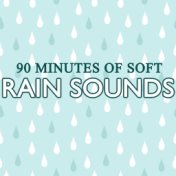 90 Minutes of Soft Rain Sounds