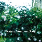 23 Natural Ambient Rain Sounds, Sounds of Nature for Sleep, Zen, Meditation, Yoga, Calmness and Focus