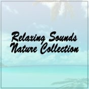 Relaxing Sounds Nature Collection