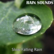 Slow Falling Rain