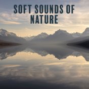 Soft Sounds of Nature – Calming Sounds, Nature Relaxation, New Age, Rest Music, Stress Free