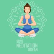 2018 Meditation Dream