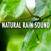 Natural Rain Sound