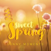 Sweet Spring: Sunny Moments