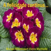 A Felicidade Continua...