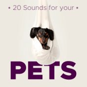 20 Sounds for your Pets - Relaxing Instrumental Music to Soothe Cats & Dogs