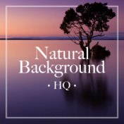 Natural Background HQ 2018 - Exclusive Nature Sounds and Relaxing Music to Relax People and Animals