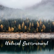 Natural Environment: New Age Music of Nature
