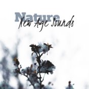 Nature New Age Sounds: Soothing Nature Sounds Compilation for Total Relax, Rest & Calm, White Noise, Water & Animals Noises