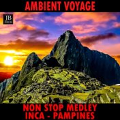 Ambient Voyage: Inca Medley: Tupac Amaru / Cuzco / Huayna Capac / Intip Churin / Ayllo / Mama Huaco / Coya / Chica / Mita / Tumi...