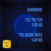 Feel The Fear / The Amazing World