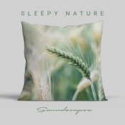 Sleepy Nature Soundscapes