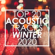 Top 20 Acoustic Tracks Winter 2020 (Instrumental)