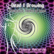 Psychedelic Trance of Japan