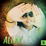 Allay