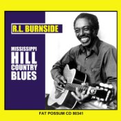 Mississippi Hill Country Blues