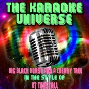 Big Black Horse And A Cherry Tree (Karaoke Version) (In the Style of KT Tunstall)