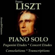 Liszt, Vol. 5: Paganini Etudes - Consolations - Transcriptions (AwardWinners)