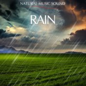 Rain (Natural Music Sound)