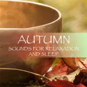 Autumn Sounds For Relaxation & Sleep