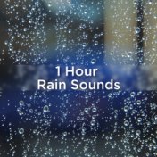 1 Hour Rain Sounds