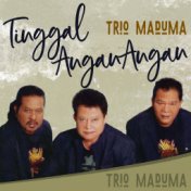 Tinggal Angan - Angan