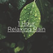 1 Hour Relaxing Rain