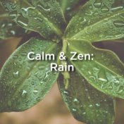 Calm & Zen: Rain