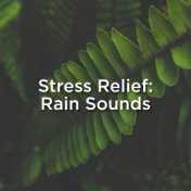 Stress Relief: Rain