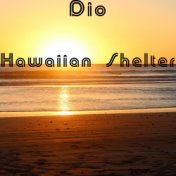 Hawaiian Shelter (2019 Mix)
