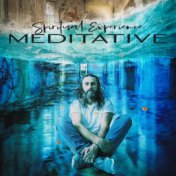 Spiritual Experience Meditative: Zen Lounge, Meditation Music, Stress Relief, Calming Songs for Relaxation, Mental Awareness, In...