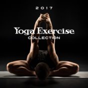 2017 Yoga Exercise Collection