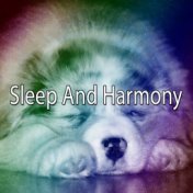 Sleep And Harmony