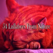 54 Lullabyes From Nature