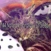 44 Natural Inspirations Of Sleep