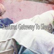 Natures Gateway To Sleep