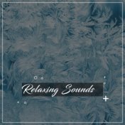 1 Hour Tranquil Songs for Rejuvenation