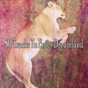 80 Tracks To Enter Dreamland