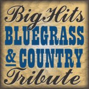 Big Hits Country & Bluegrass Tribute