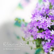 #15 Relaxation Sounds to Relieve Stress