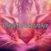 43 Natural Sleep Background Auras