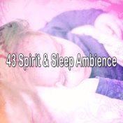 43 Spirit & Sleep Ambience