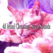 45 Mind Cleansing Sleep Sounds