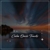 #1 Hour Calm Oasis Tracks to Provide Focus