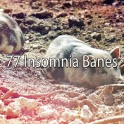 77 Insomnia Banes